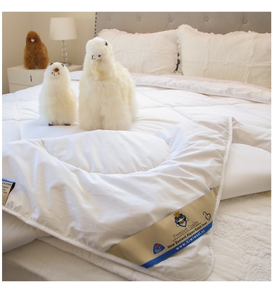 Kiwi Wool 100%駝羊毛被 - Single