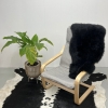 Classic Sheepskins Sheepskin Rug (Single)