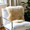 Classic Sheepskins Sheepskin Rug (Single)